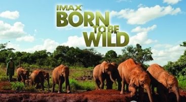 IMAX¼ƬҰ/عҰ Born to Be Wildȫ1  720P