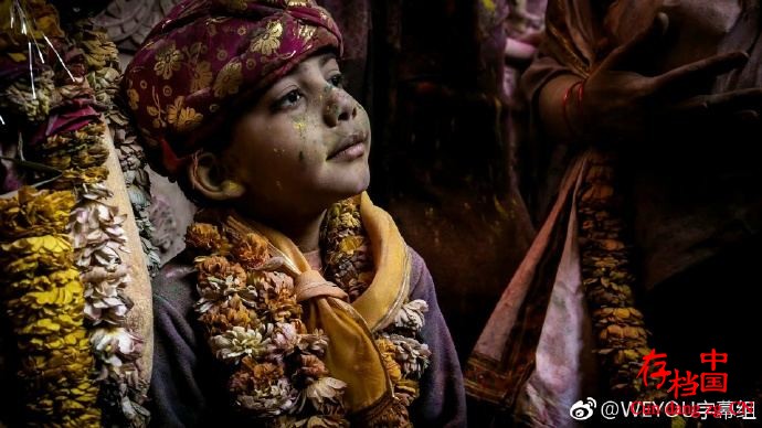 ҵƵӰ˵ Tales by Light 2015ȫ6  Ļ 1080P ٶ ѧ̽