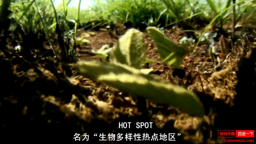 NHK¼Ƭ԰ȫ6 720P Ļ ٶ Ȼ
