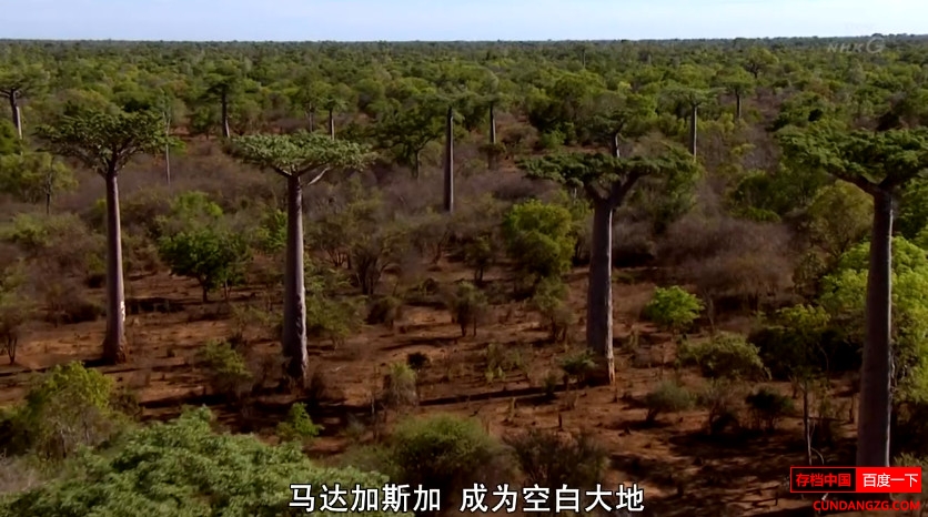 NHK¼Ƭ԰ȫ6 720P Ļ ٶ Ȼ