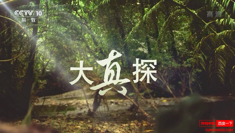 Ӵ̽桷ȫ2  1080P/ts¼Ƭ 