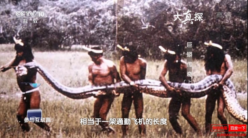 Ӵ̽桷ȫ2  1080P/ts¼Ƭ 
