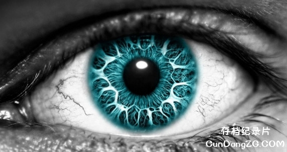 BBC¼Ƭ౾ Human Instinct 2002ȫ4 Ƕ ¼Ƭ ѧ̽