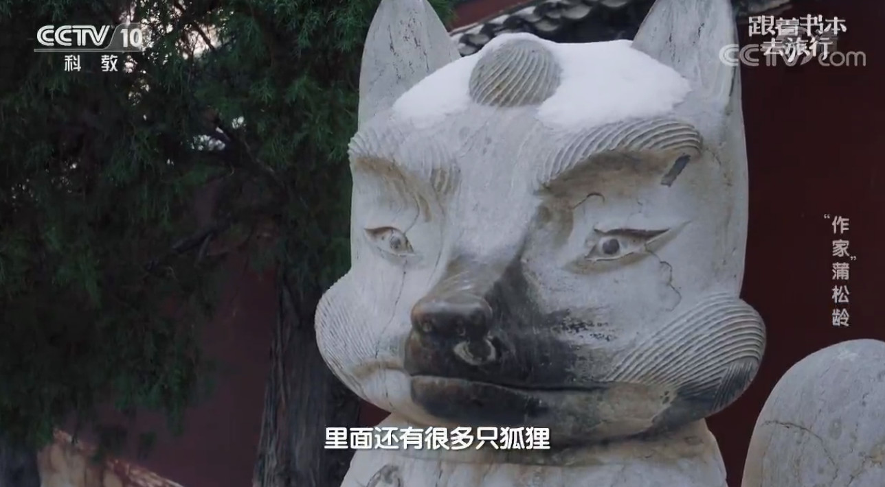 cctv鱾ȥм¼Ƭ䡷ȫ3  1080I ʵ¼