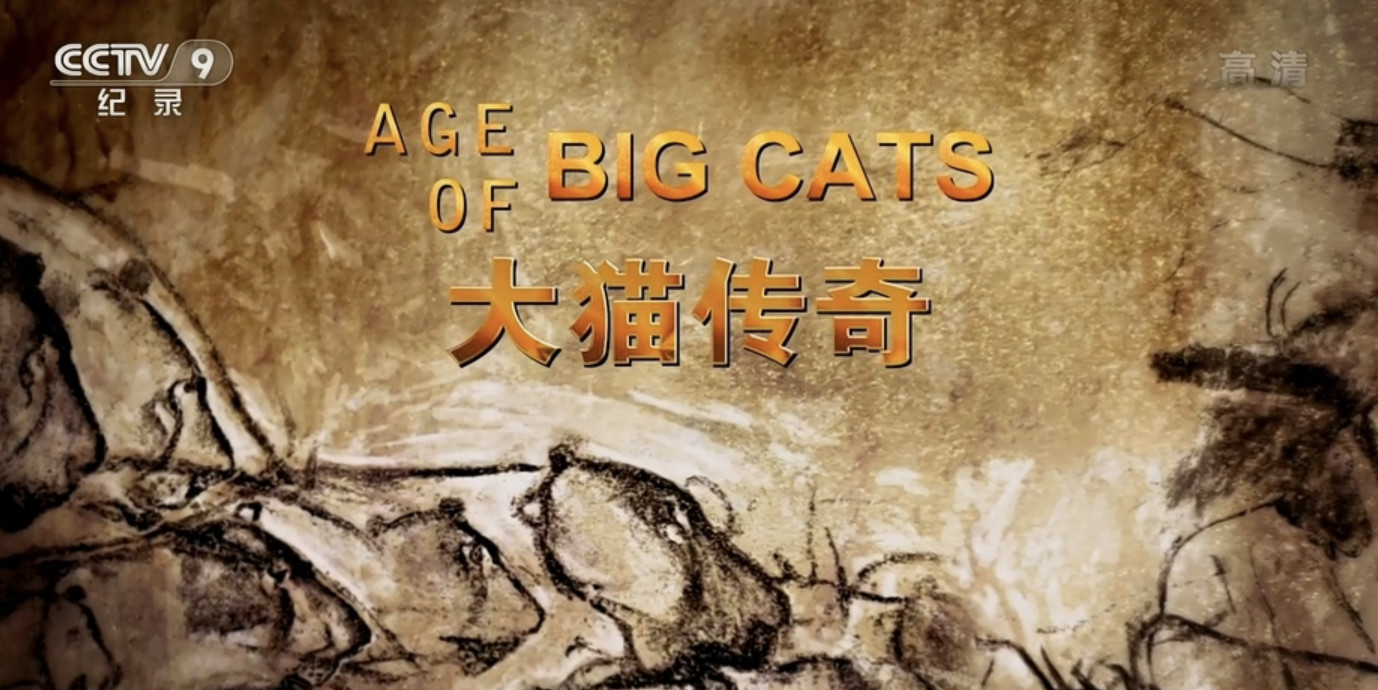 Ƽ¼Ƭè/èʱ Age of Big Cats 2018ȫ3  1080i 