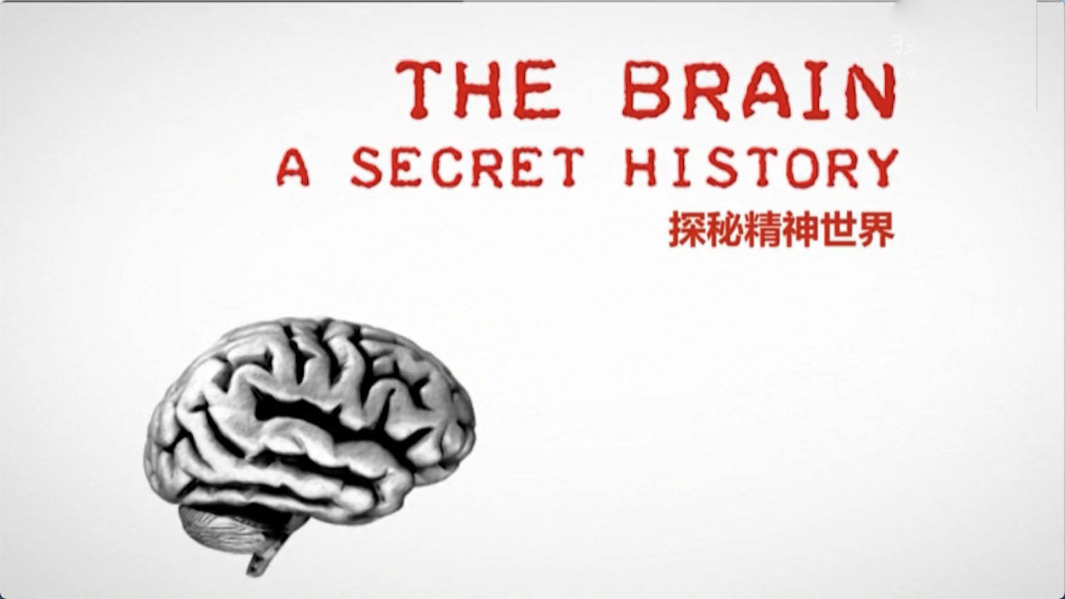 BBC¼ƬԵʷThe Brain: A Secret History 2011ȫ3 Ƕ 720P ѧ̽