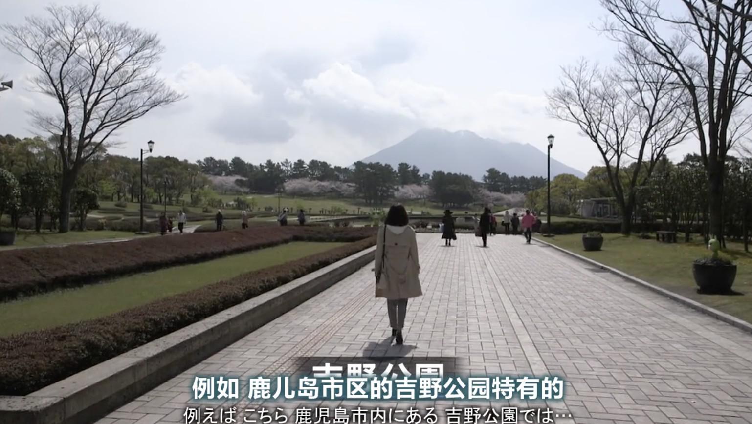 NHK¼Ƭձ˼·֮áȫ131 Ƕ 720P Ȼ