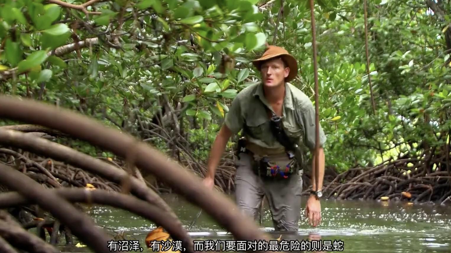ʷƵ̽м¼ƬԶ Expedition Africaȫ8  720P Ȼ