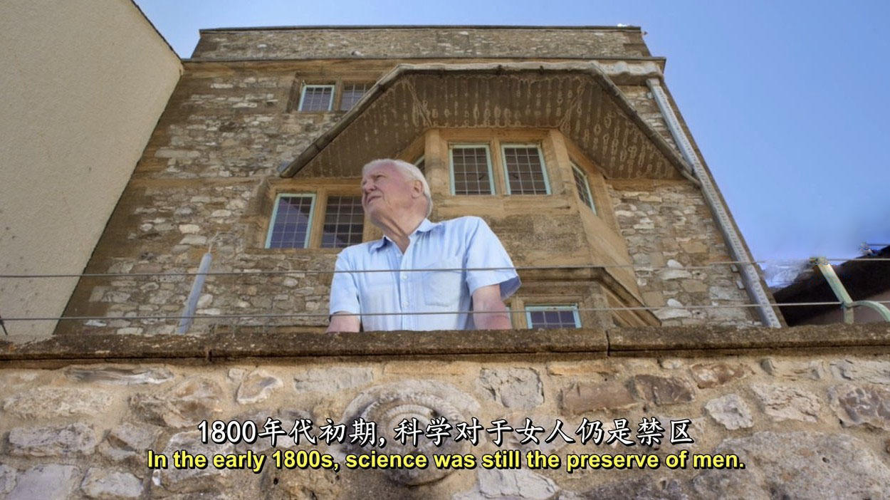 ¼ƬоFlying Monsters 3D with David Attenborough 2011720P/1080P3D 