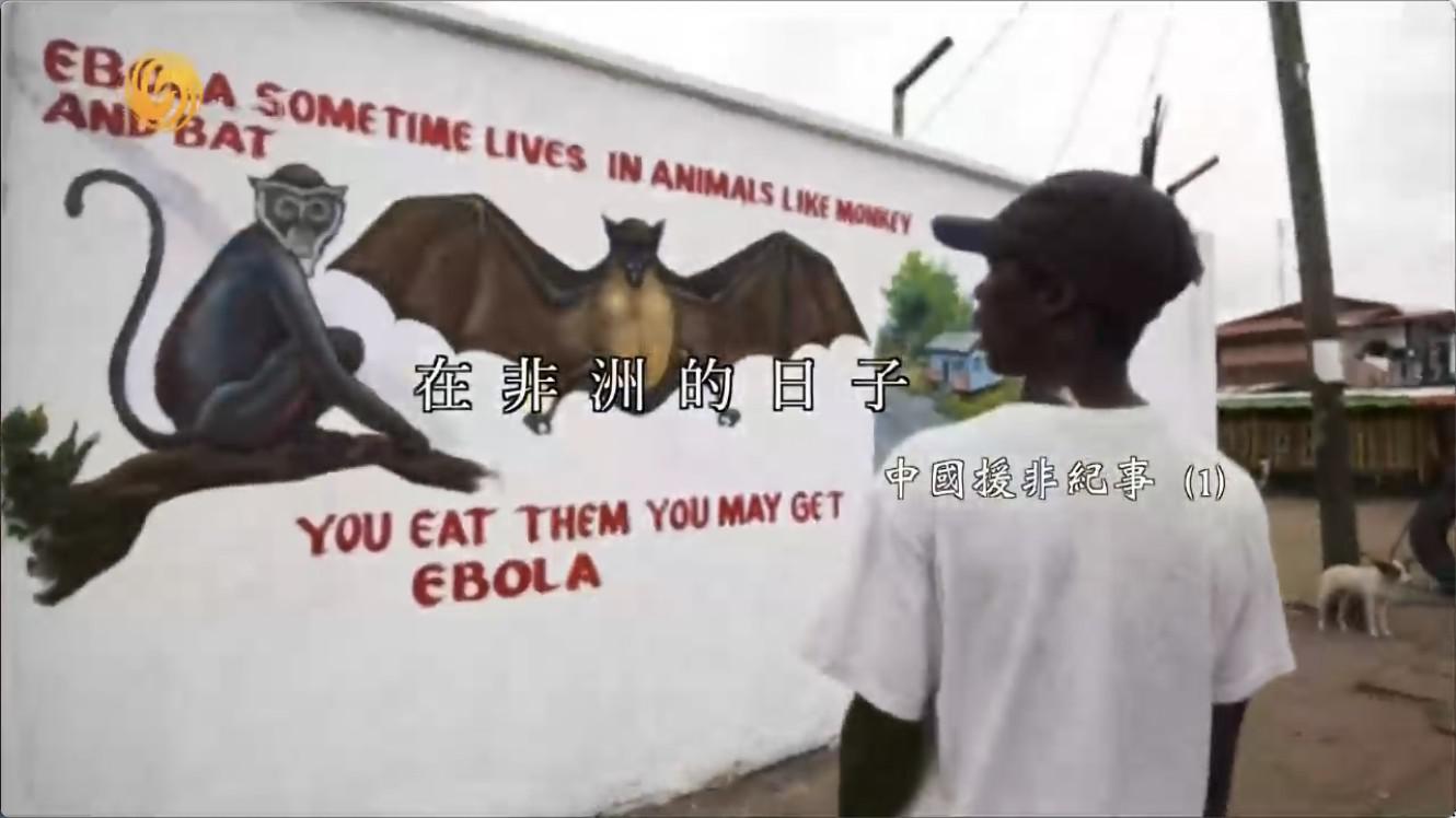 ¼ʱйԮǼ¡ȫ5  720P