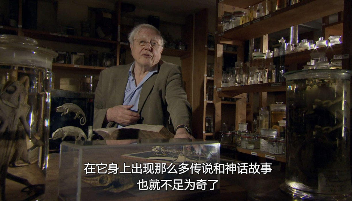 BBC¼ƬȻȤ David Attenborough's Natural Curiosities2013Ƕ 1080P 
