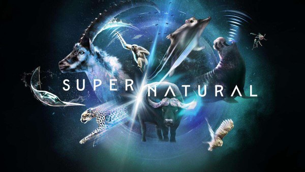 Disney¼Ƭ 2022ȫ6 Ļ 1080P