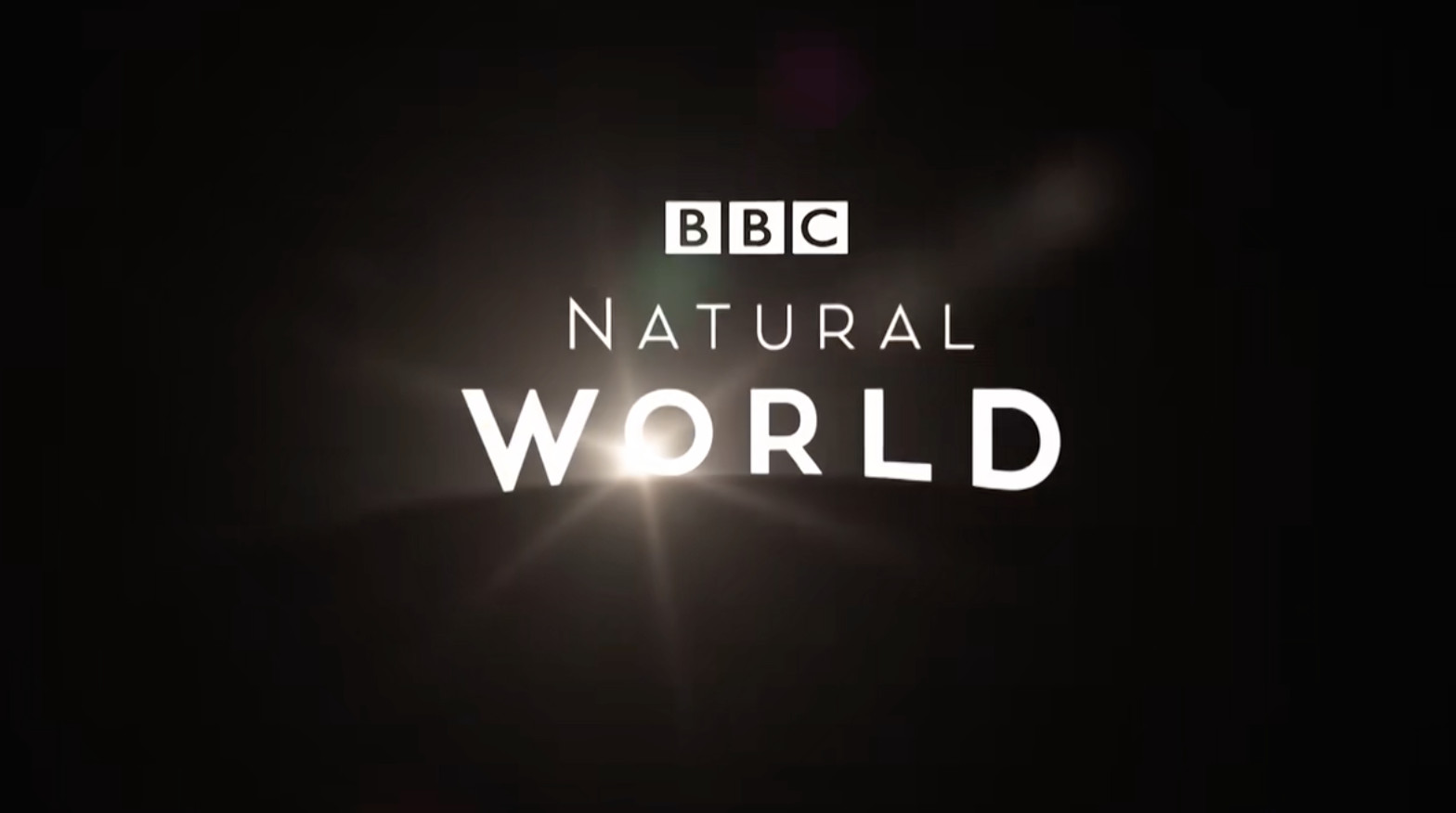 BBC¼ƬȻ Natural World 2020ȫ5 ӢӢ˫ 1080P 