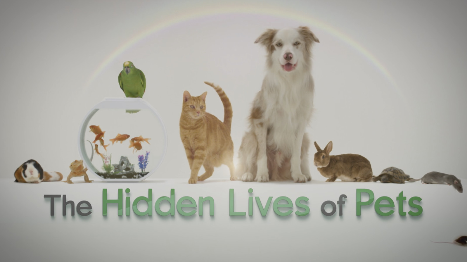 Netflix¼Ƭ The Hidden Lives of Pets2022ȫ4 ڷ 1080P 