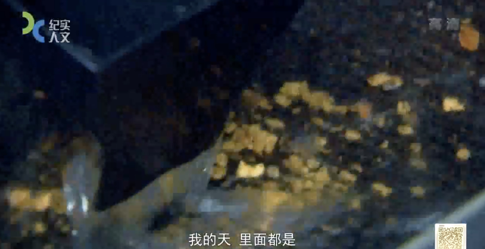 ϺʵƵ¼ƬԽ𣺼ƪ Gold Rush: White Waterȫ8  720P Ȼ