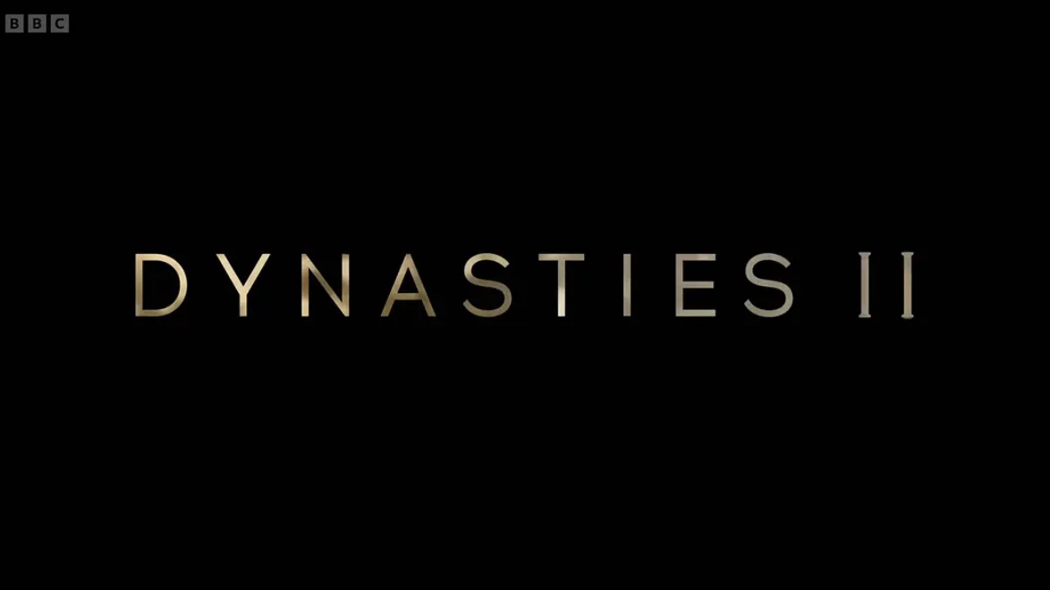 BBC¼Ƭ Dynasties 2022ڶ ȫ6  4k 