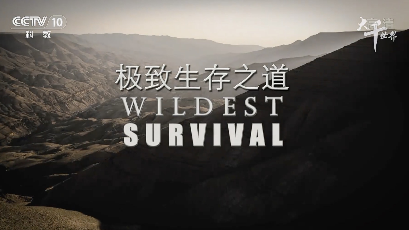 ӷ¼Ƭ֮ Wildest Survivalڶ ȫ10  1080P 