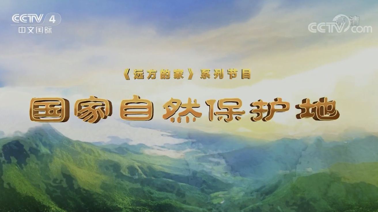 Զļм¼ƬȻءȫ73ϼ 1080P Ȼ