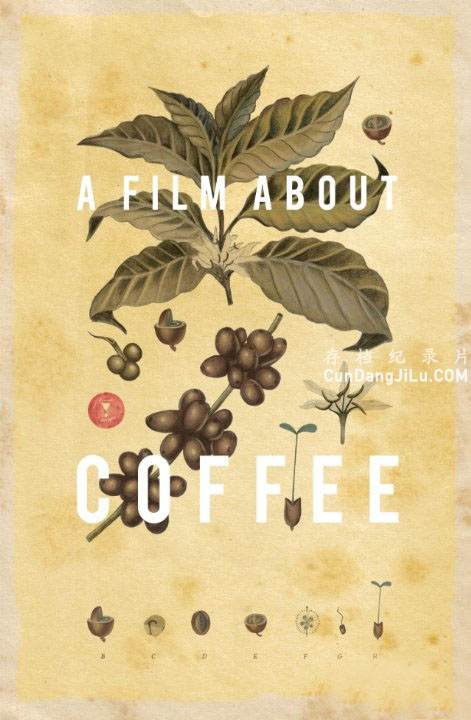 ȼ¼ƬһڿȵĵӰA.Film.About.Coffeeȫ1 1080P Ļ