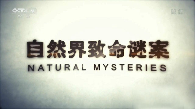 ӡȻհ Natural Mysteries 2015ȫ4  1080P¼Ƭ ѧ̽