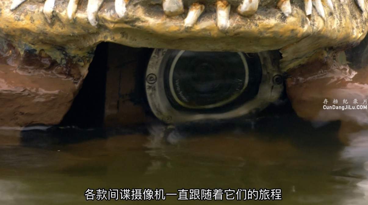 BBC¼ƬǨ Ⱥļ Trek: Spy on the Wildebeest 2007ȫ2 Ӣ 1080P