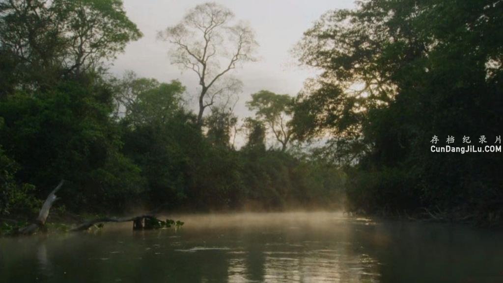 BBC¼ƬҰ԰ Wild Brazilȫ3 Ƕ 1080P/720P¼Ƭ 