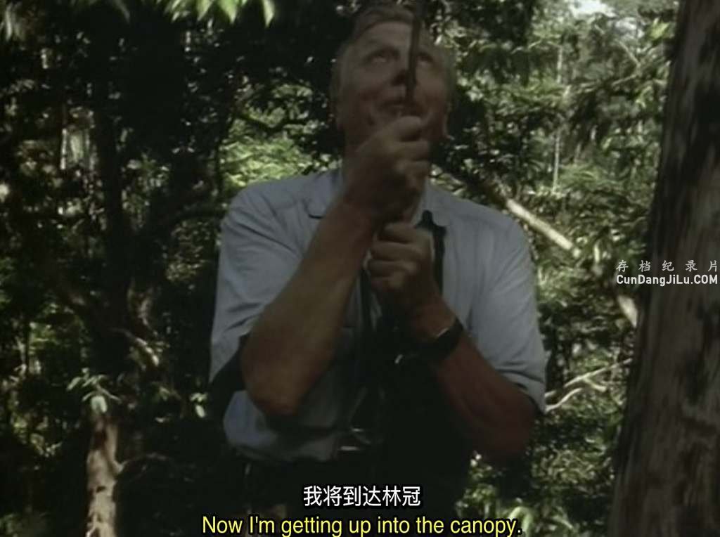 BBC¼Ƭ Attenborough in Paradise 1996ȫ7   