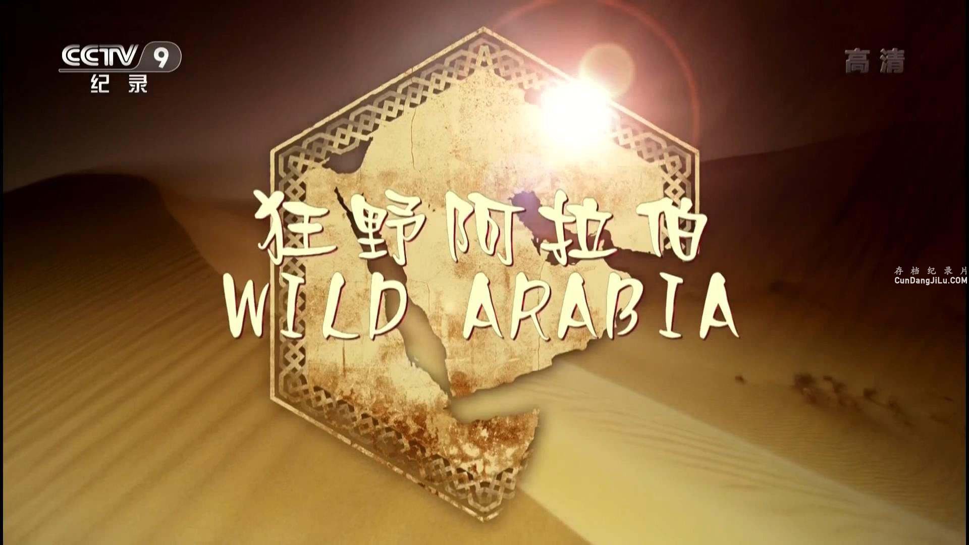 Ƽ¼ƬҰ  Wild Arabiaȫ3  1080P 