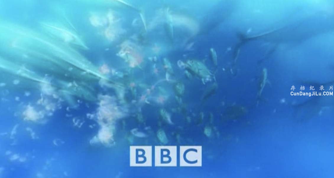 BBC¼ƬҰ԰ Wild Australasia 2003ȫ6   