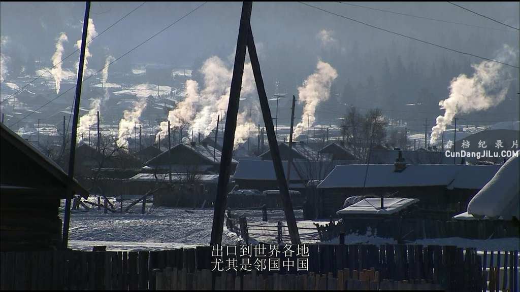 BBC¼ƬҰ˹ Wildes Russland 2009ȫ6 Ӣ 1080P 