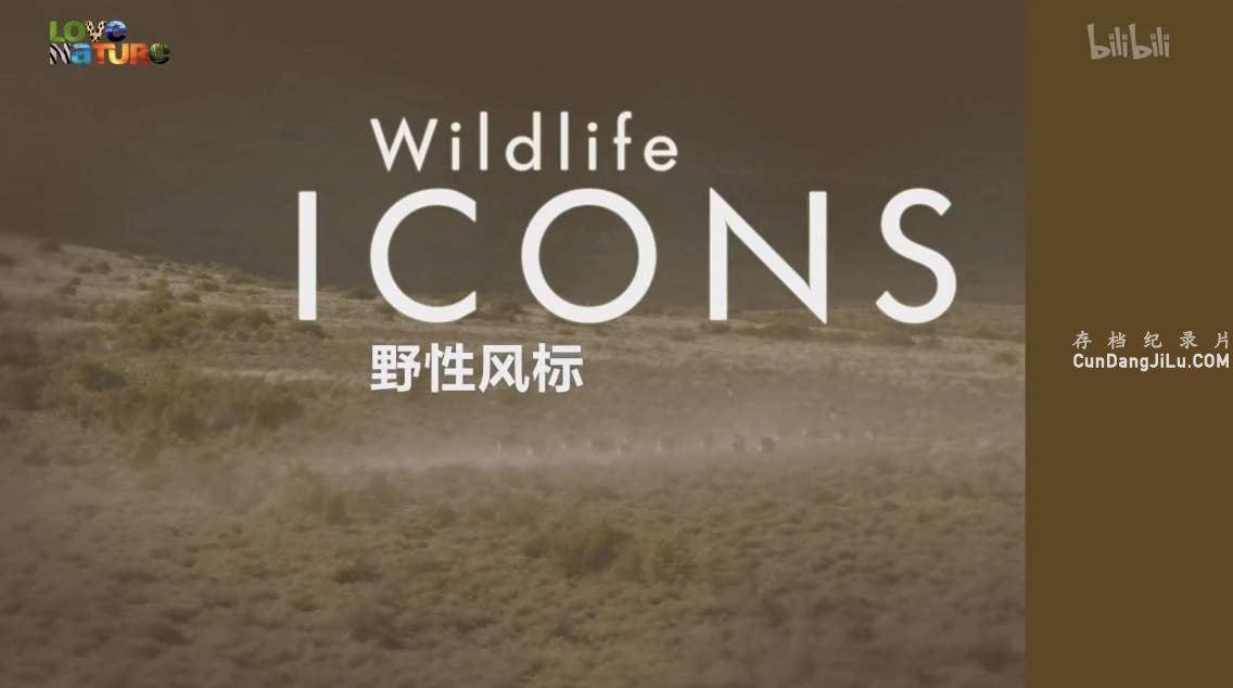 Ұ¼ƬҰԷ Wild Life Icons2 ȫ6 1080P