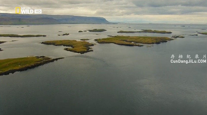 ҵ¼ƬŷҰ¼ Nordic Wild 2012ȫ4  1080P 