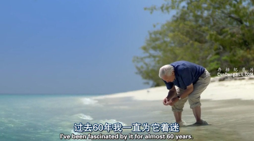BBC¼ƬϾүĴ󱤽֮áȫ3  1080P¼Ƭ