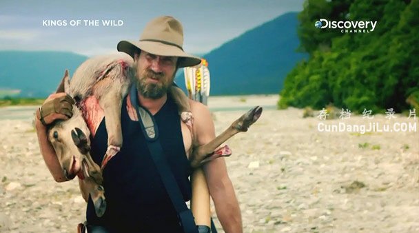̽ƵҰʳ/Ұ Kings of the Wildȫ6 Ļ 720P¼Ƭ