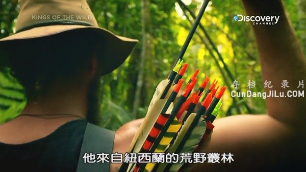 ̽ƵҰʳ/Ұ Kings of the Wildȫ6 Ļ 720P¼Ƭ Ȼ