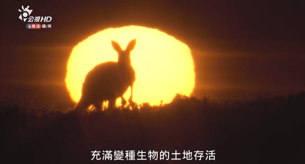 PTS һȫ6  720P¼Ƭ 