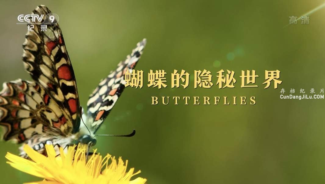 Ӽ¼Ƭ Butterfliesȫ1  1080I/TS 