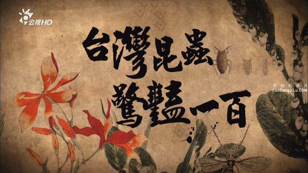 ̨幫Ӽ¼Ƭ̨ һ 2017ȫ3  720P