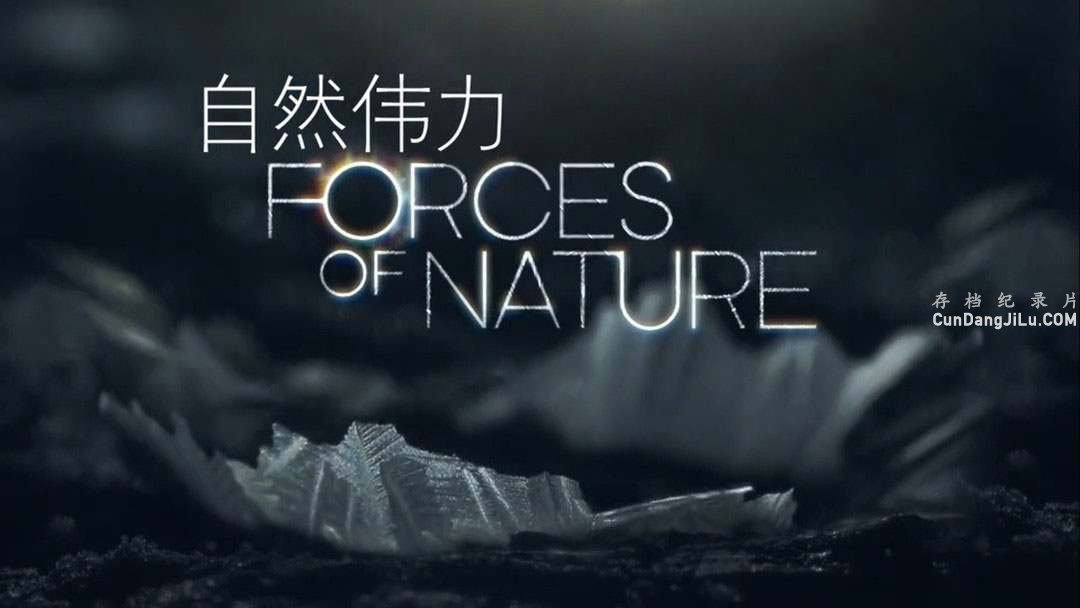 BBC¼ƬȻ/Ȼΰ Forces of Nature with Brian Cox 2016ȫ4 Ƕ 720P ѧ̽