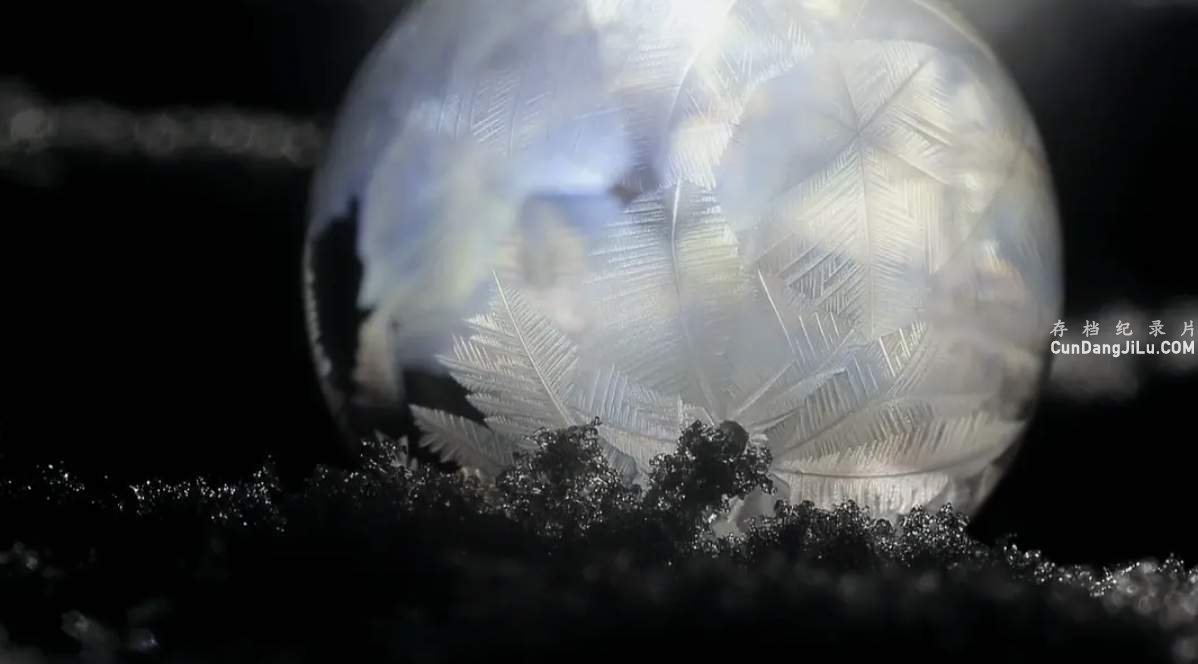 BBC¼ƬȻ/Ȼΰ Forces of Nature with Brian Cox 2016ȫ4 Ƕ 720P ѧ̽