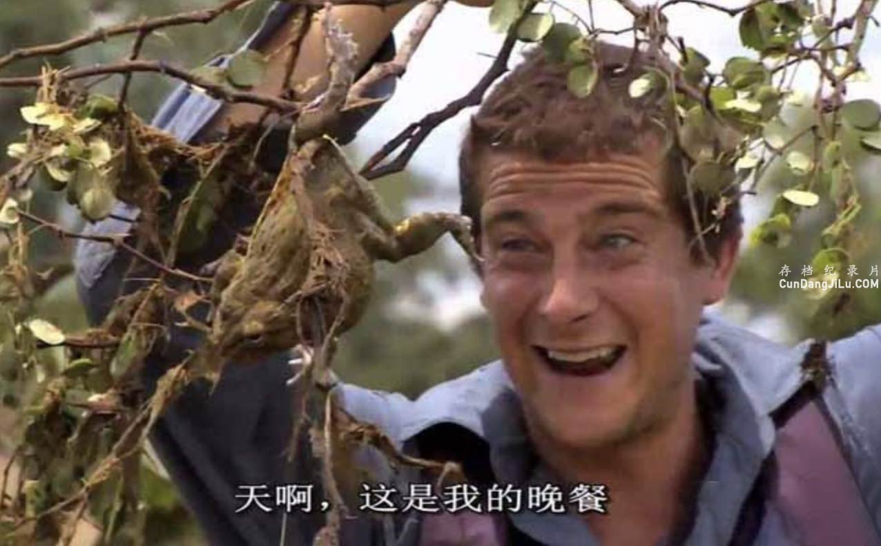 Ұ¼Ƭѵ Bear Grylls:Breaking Pointȫ6ԭ 720P/1080i¼Ƭ