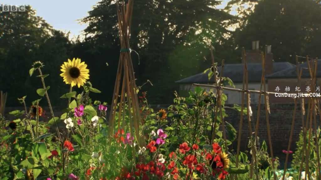 BBC¼ƬС԰ս The Big Allotment Challenge 20141,2 ȫ12 Ӣ  Ȼ