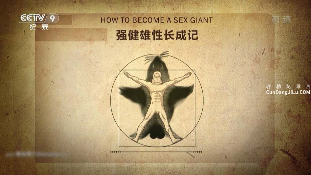 Ƽ¼ƬǿԳɳǡȫ1  1080P 
