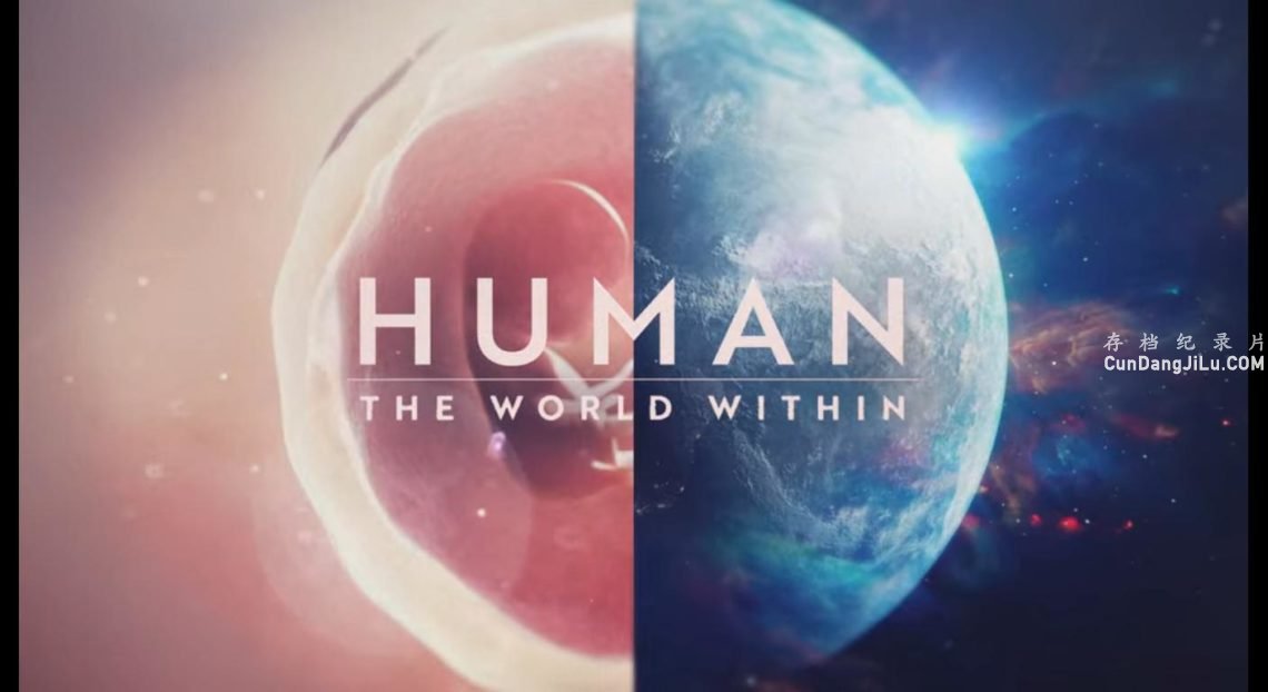Netflix/PBS¼Ƭࣺڵ Human: The World Within 2021ȫ6 Ӣ 1080P