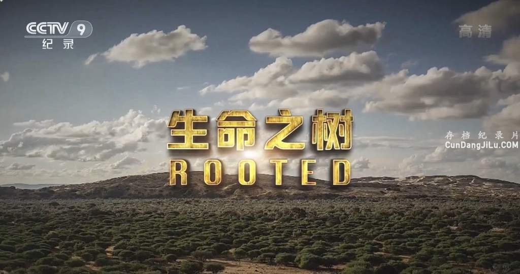 Ƽ¼Ƭ֮ Rootedȫ5  1080P ѧ̽