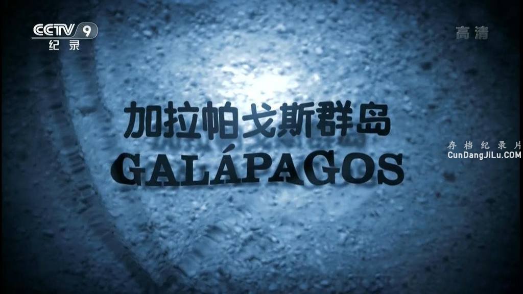 Ƽ¼Ƭ˹Ⱥ Galapagosȫ3  1080P 