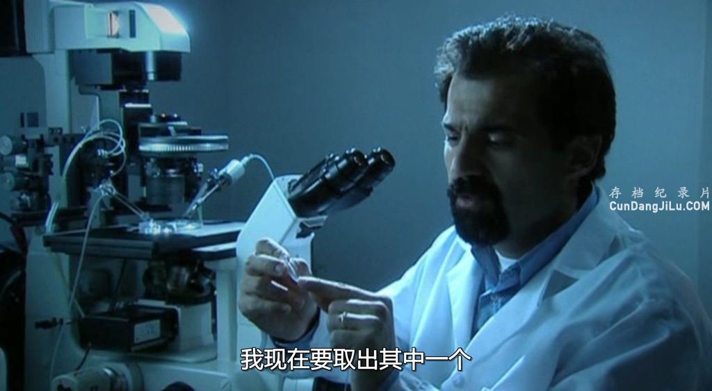 BBC¼Ƭ How to Build A Human 2002ȫ4 Ӣ˫ڷ 