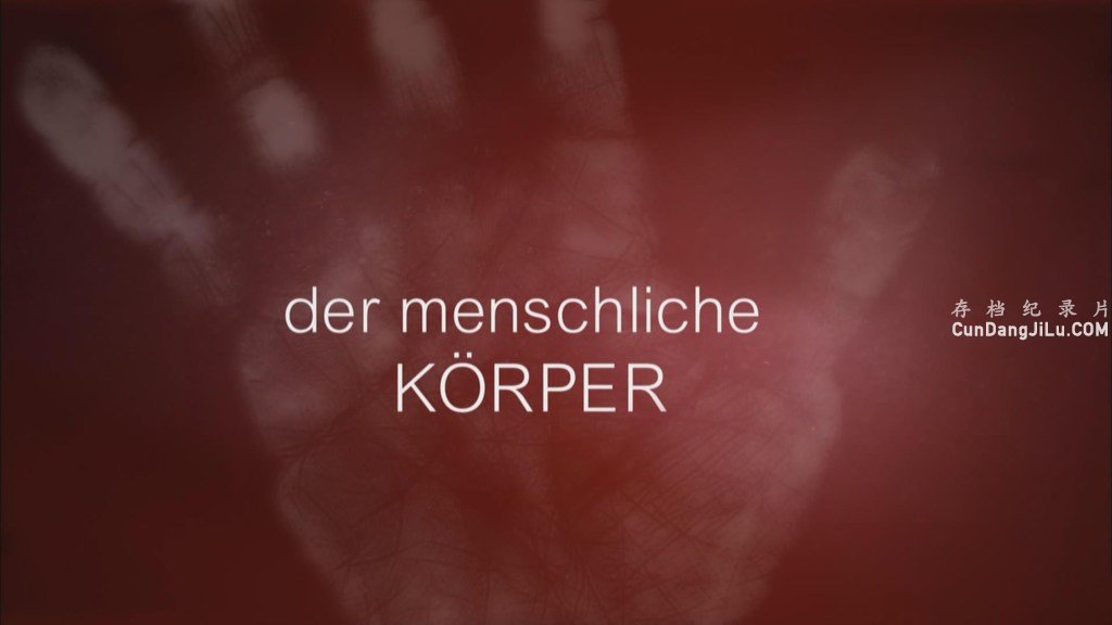 BBC¼Ƭ Inside the Human Bodyȫ4 Ӣڷ 1080P