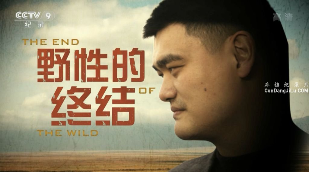 Ӷﱣ¼ƬҰԵս The End of the Wildȫ2  1080i¼Ƭ 