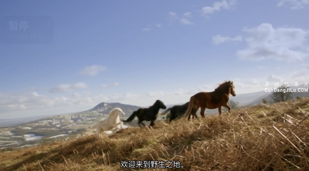BBC¼ƬʿҰ/Ұ˹ Wales: Land of the Wild 2019ȫ4ԭ 1080P 
